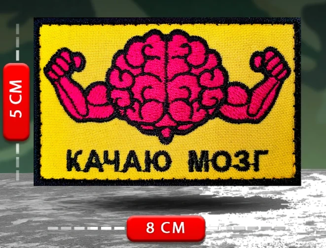 Шеврон, нашивка Качаю мозг