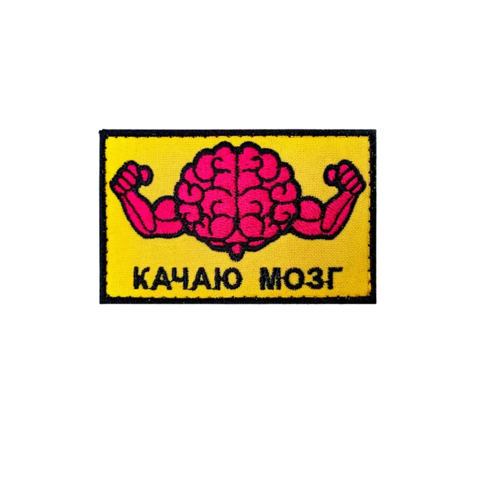 Шеврон, нашивка Качаю мозг