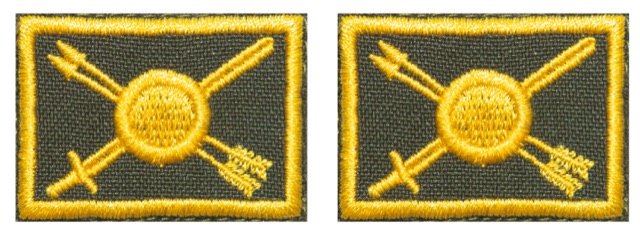 Петлицы