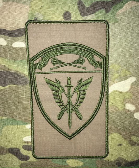 Патч СОБР, олива