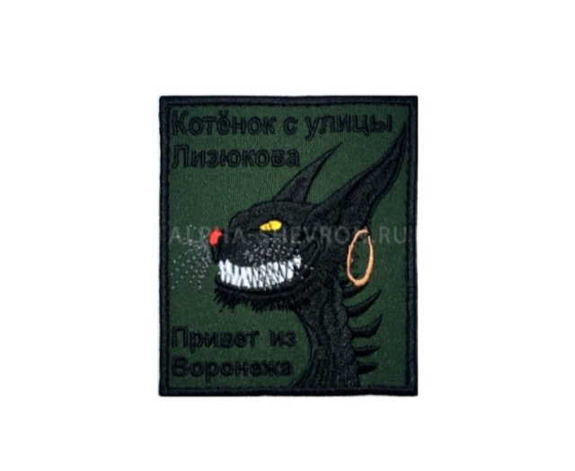 Котёнок с улицы Лизюкова